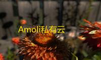 Amoli私有云